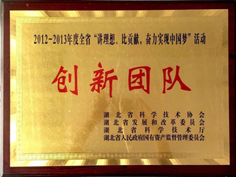 湖北省2012-2013年度“講理想，比貢獻(xiàn)”創(chuàng)新團隊.jpg